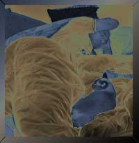 Photoshop solarize filter + bevel